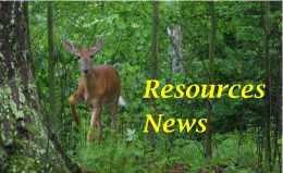 Deer and Resources News name